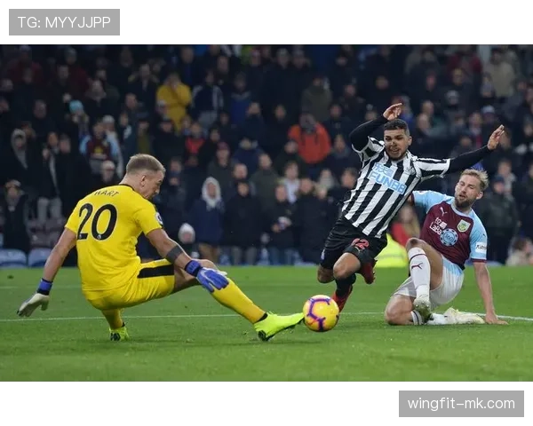 白鸽军团强势复苏,英超赛场展翅高飞 白鸽军团强势复苏,英超赛场展翅高飞